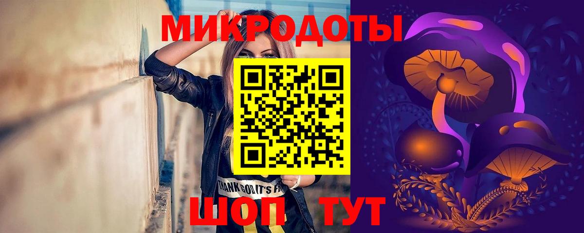 Псилоцибиновые грибы прущие грибы  Вход с VPN  Звенигород 